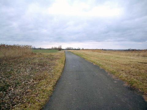 Foto 19